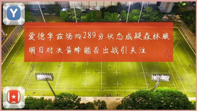 爱德华兹场均289分状态成疑森林狼明日对决黄蜂能否出战引关注